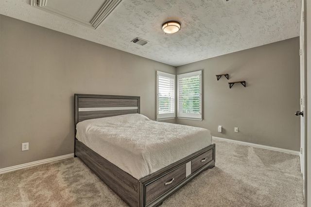 30 Rowan Tree Place, The Woodlands, TX 77384