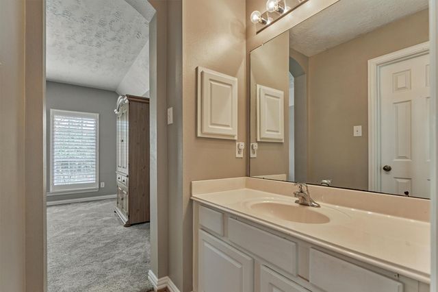 30 Rowan Tree Place, The Woodlands, TX 77384