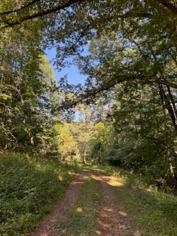 5246 Palmetto Bluff RD, Hardy, VA 24101