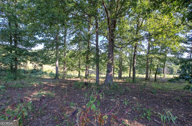 220 Connesena Road, Kingston, GA 30145