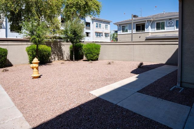 241 E Roadrunner Drive, Chandler, AZ 85286