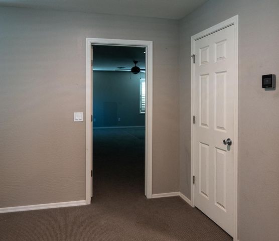 241 E Roadrunner Drive, Chandler, AZ 85286