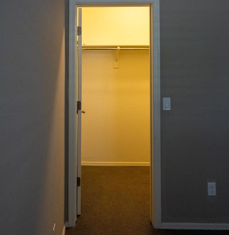 241 E Roadrunner Drive, Chandler, AZ 85286