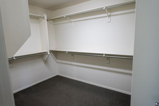 241 E Roadrunner Drive, Chandler, AZ 85286