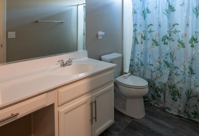 241 E Roadrunner Drive, Chandler, AZ 85286