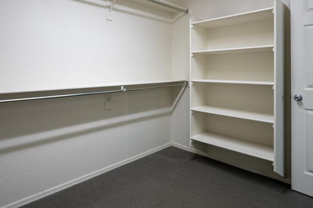 241 E Roadrunner Drive, Chandler, AZ 85286