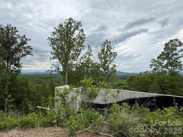 16 Ridge Pine Trail, Arden, NC 28704