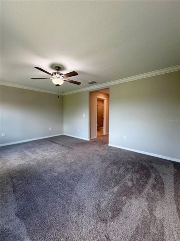 11826 DUMAINE VALLEY ROAD, Riverview, FL 33579