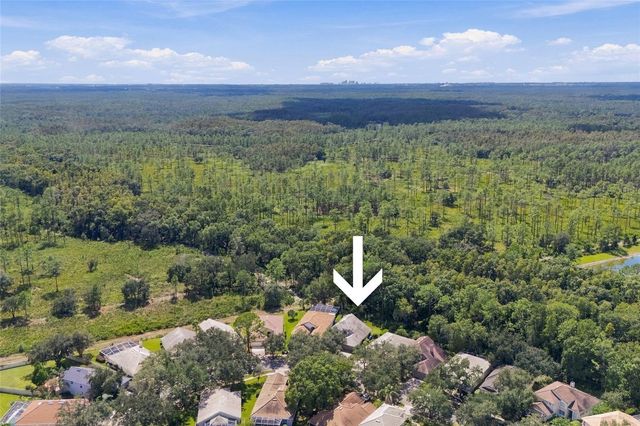 17704 NATHANS DRIVE, Tampa, FL 33647