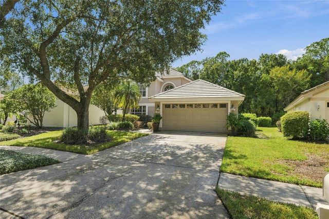 17704 NATHANS DRIVE, Tampa, FL 33647