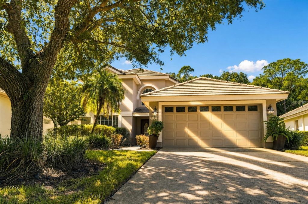 17704 NATHANS DRIVE, Tampa, FL 33647