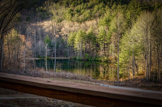 120 Cohutta Ranch Road, Blue Ridge, GA 30513