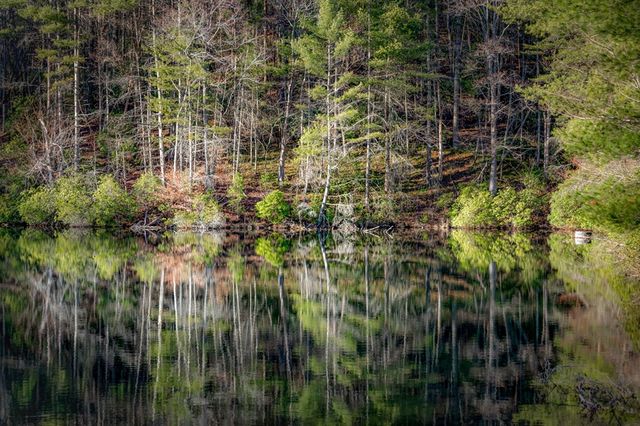 120 Cohutta Ranch Road, Blue Ridge, GA 30513