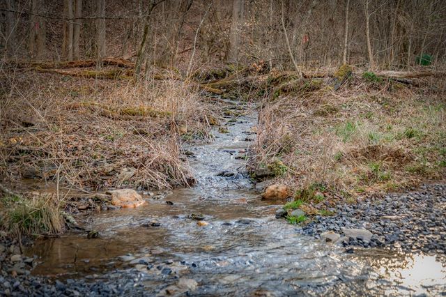 120 Cohutta Ranch Road, Blue Ridge, GA 30513