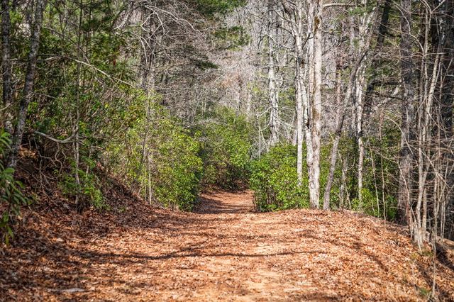 120 Cohutta Ranch Road, Blue Ridge, GA 30513