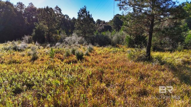 21742 County Road 64, Robertsdale, AL 36567