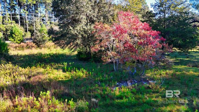 21742 County Road 64, Robertsdale, AL 36567