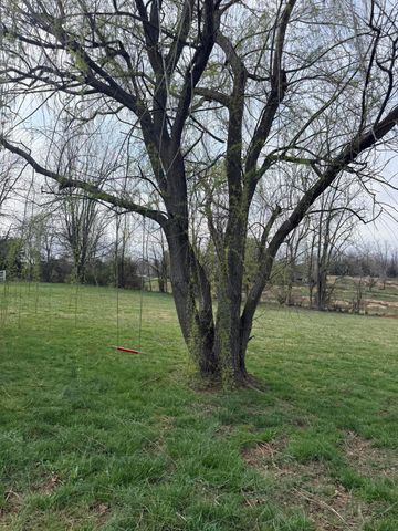 230 Johnson Road, Waynesburg, KY 40489