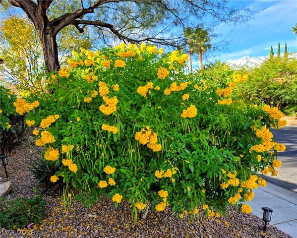 2312 Alpine Pointe Lane, Las Vegas, NV 89134