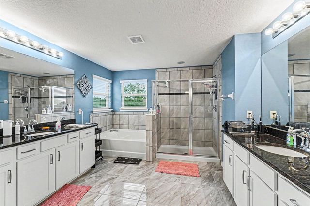 10511 AVIAN FORREST DR, Riverview, FL 33578