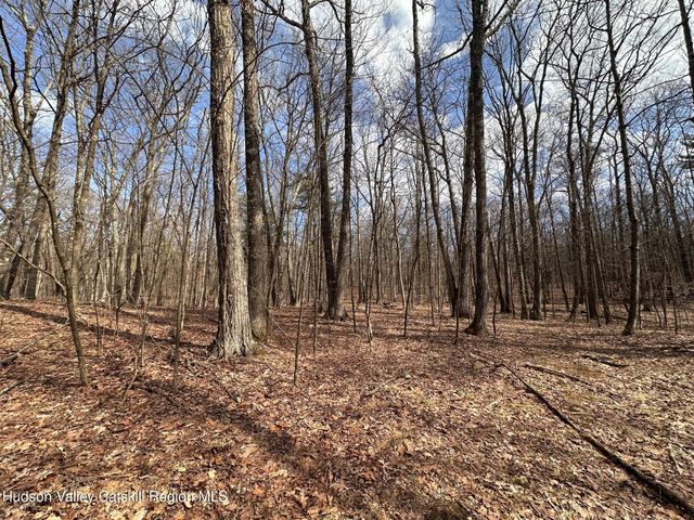 230 Potic Mountain Road, Athens, NY 12015