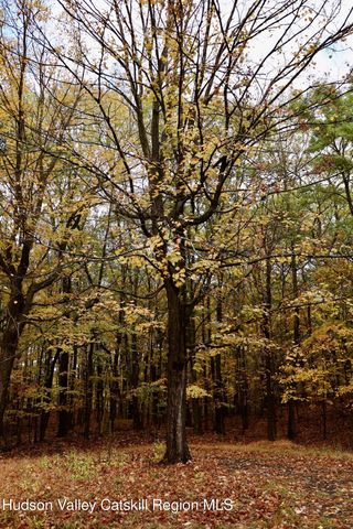 230 Potic Mountain Road, Athens, NY 12015