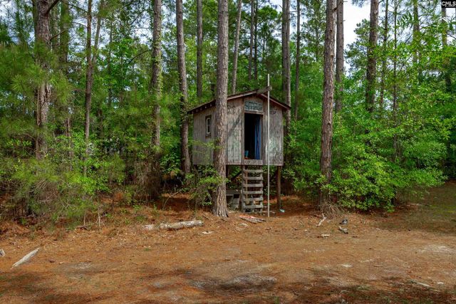 1571 Chestnut Road, Elgin, SC 29045