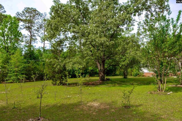 1571 Chestnut Road, Elgin, SC 29045