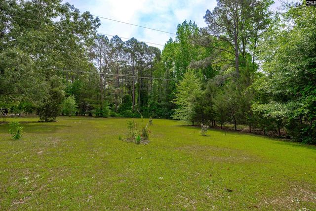 1571 Chestnut Road, Elgin, SC 29045