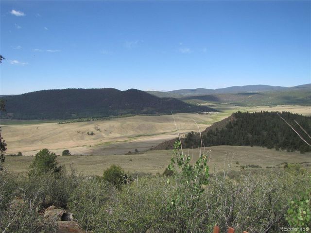 1808 Narrow Gauge Rd, Hartsel, CO 80449