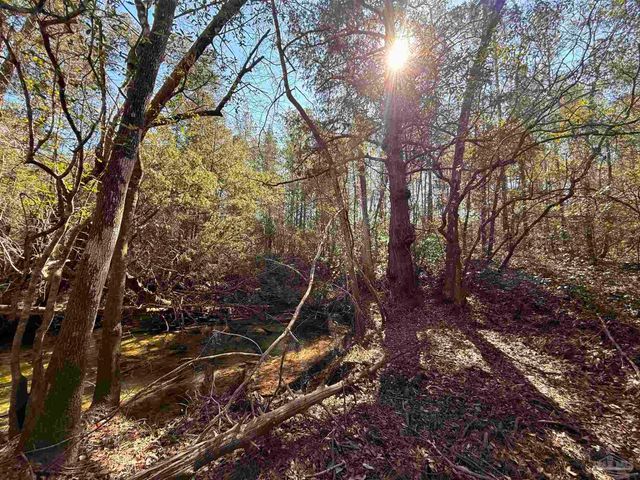 Lot 18 Brook Crossing St, Pace, FL 32571