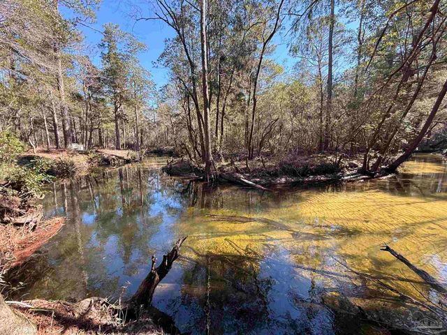 Lot 18 Brook Crossing St, Pace, FL 32571