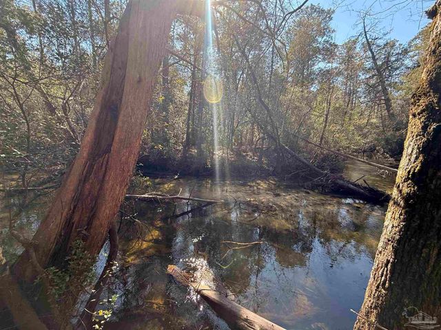Lot 18 Brook Crossing St, Pace, FL 32571