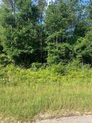 Lot 86 Pineview Church Rd, Jay, FL 32565