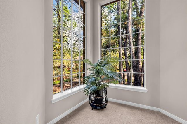 22 Cedar Chase Place, The Woodlands, TX 77381