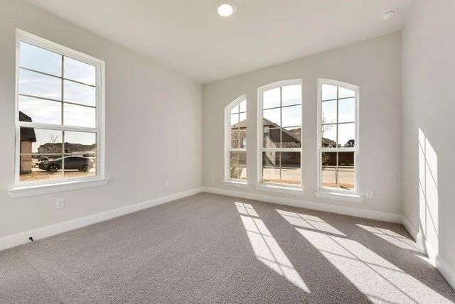 1323 Sundance Lane, Justin, TX 76247