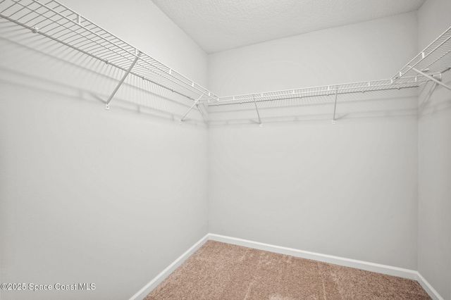 817 Carnival Road SE, Palm Bay, FL 32909