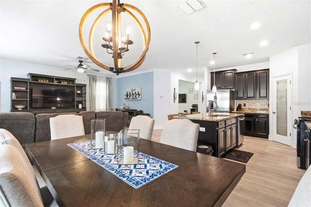 917 TERRA VISTA STREET, Brandon, FL 33511