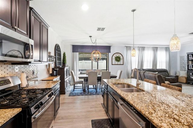 917 TERRA VISTA STREET, Brandon, FL 33511