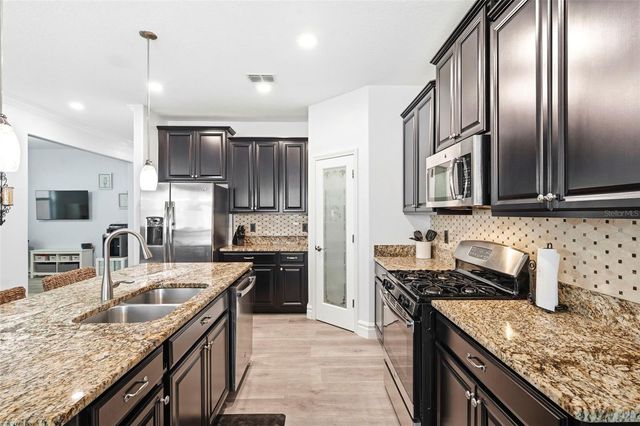 917 TERRA VISTA STREET, Brandon, FL 33511