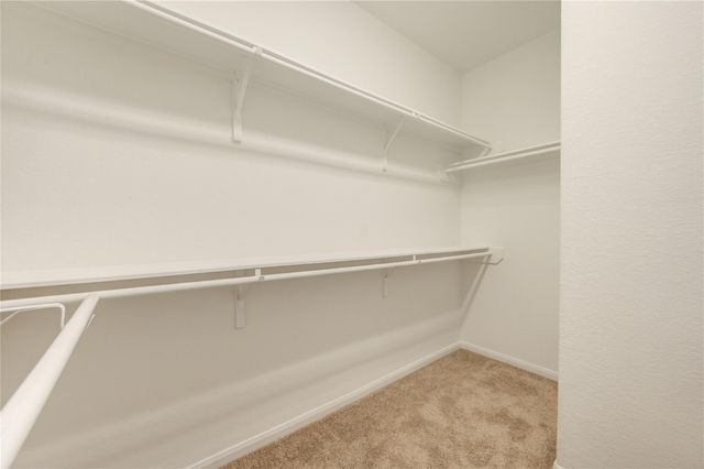 26019 Steele Flower Drive, Richmond, TX 77406