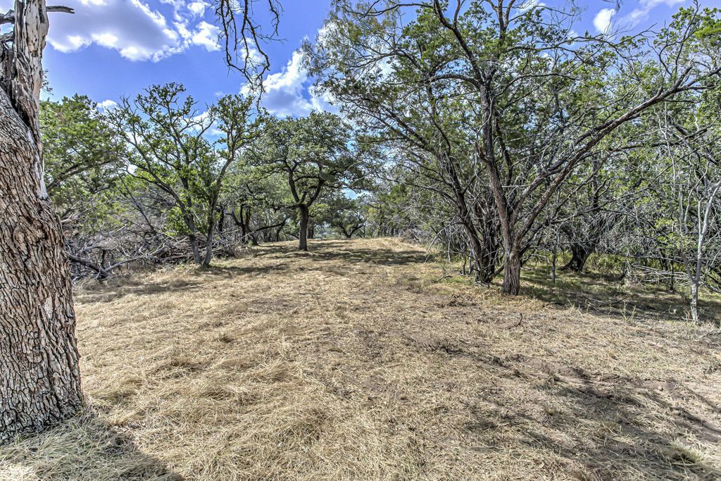 Image 6 of property listing at 920 Boultinghouse, Marble Falls, TX 78654