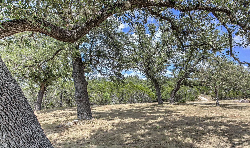Image 7 of property listing at 920 Boultinghouse, Marble Falls, TX 78654