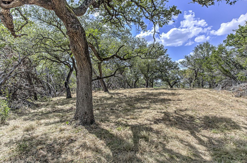 Image 8 of property listing at 920 Boultinghouse, Marble Falls, TX 78654