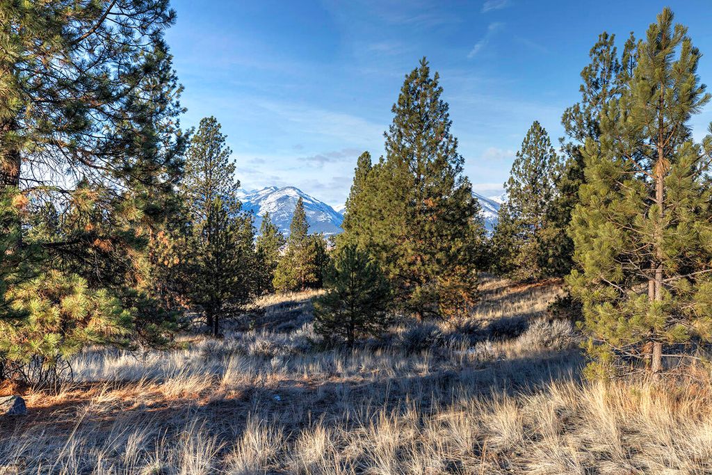 000 Stock Farm Road, Hamilton, MT 59840 photo 11