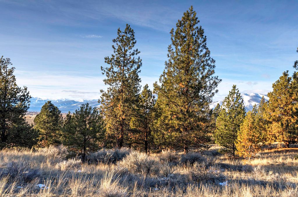 000 Stock Farm Road, Hamilton, MT 59840 photo 13