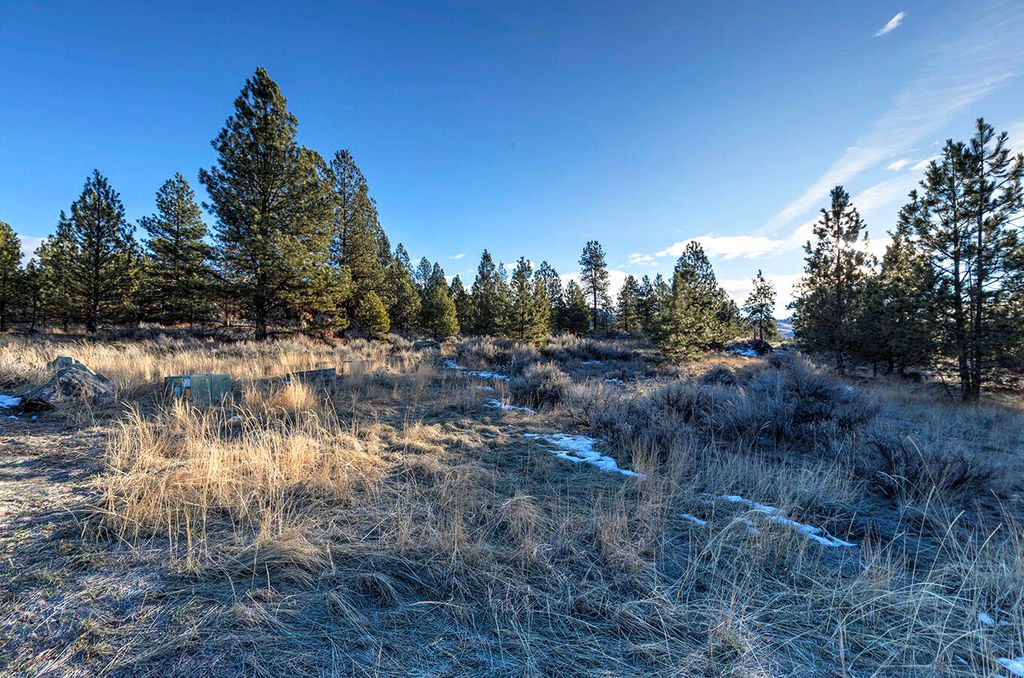 000 Stock Farm Road, Hamilton, MT 59840 photo 14