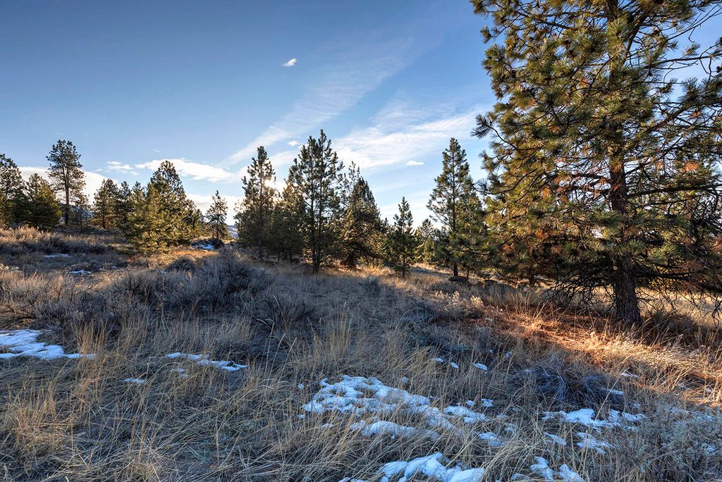 000 Stock Farm Road, Hamilton, MT 59840 photo 15