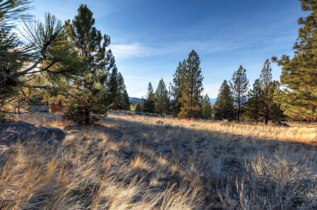 000 Stock Farm Road, Hamilton, MT 59840 photo 16