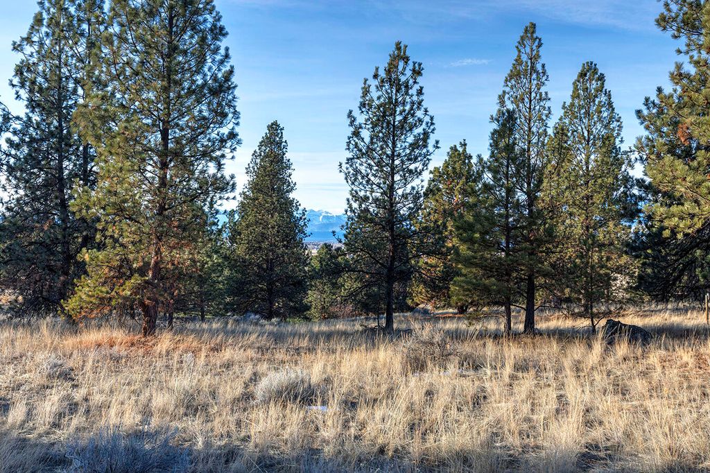 000 Stock Farm Road, Hamilton, MT 59840 photo 17